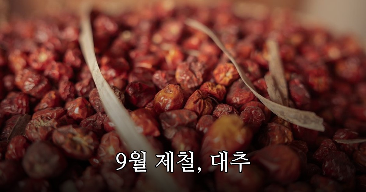 9월 제철 농산물 대추, 수확부터 활용까지